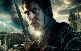 哈利波特h版在线播放,揭秘魔法世界的隐秘篇章