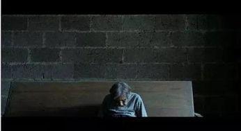 老炮电影免费观看乐视,重温经典，乐享乐视独家呈现