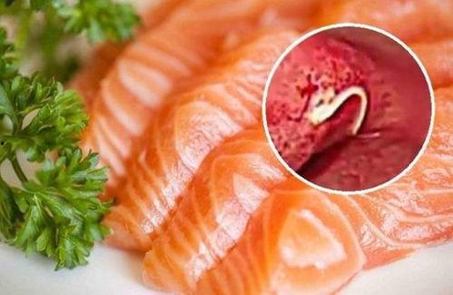 日本生鱼片虫,从源头到餐桌的食品安全挑战