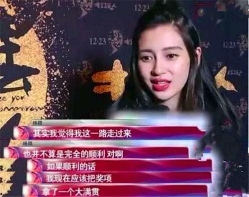 年度最傻明星,笑料百出，娱乐无限